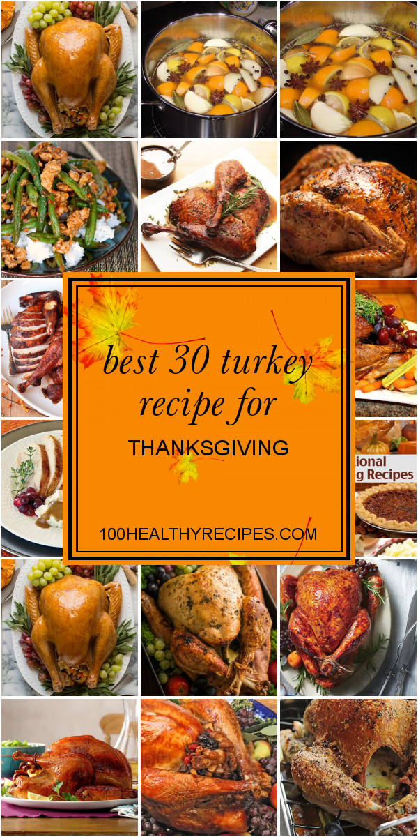 Best 30 Turkey Recipe For Thanksgiving – Best Diet And Healthy Recipes ...